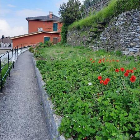 La Finestra Sul Golfo - Citra 010018-Lt-0033 - Villa Cogorno Bagian luar foto